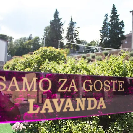 호스텔 Lavanda *