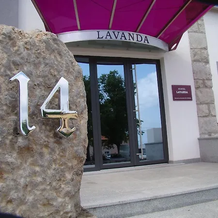 Hostel Lavanda *