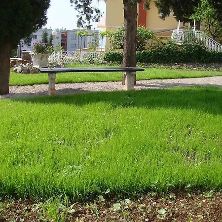 Lavanda Ostello
